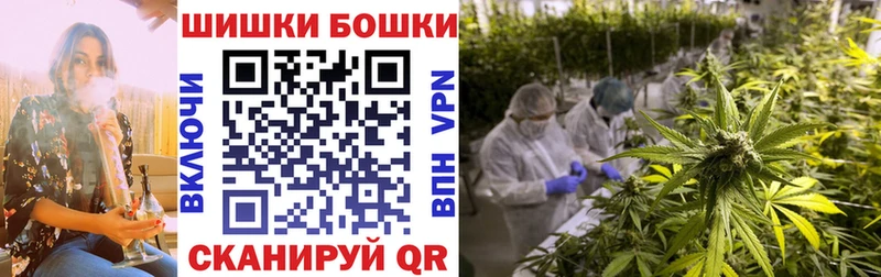 Виды наркотиков купить Севск Бошки Шишки  БУТИРАТ  Гашиш  Меф мяу мяу  Кокаин  А ПВП 