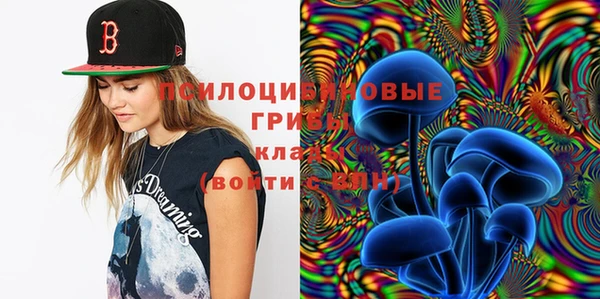 MESCALINE Аркадак