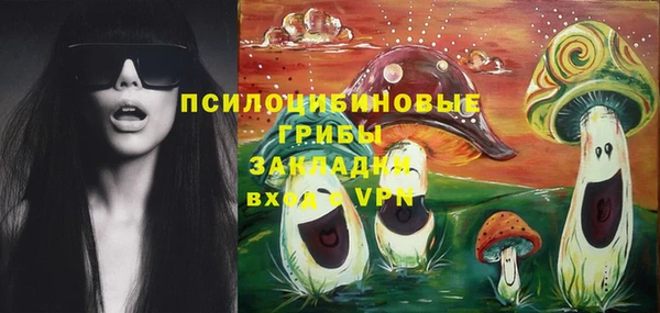спайс Арсеньев