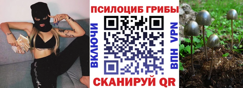 Галлюциногенные грибы прущие грибы  Севск 